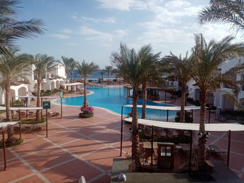 Jaz Dahabeya, Dahab Jaz Dahabeya, Dahab
