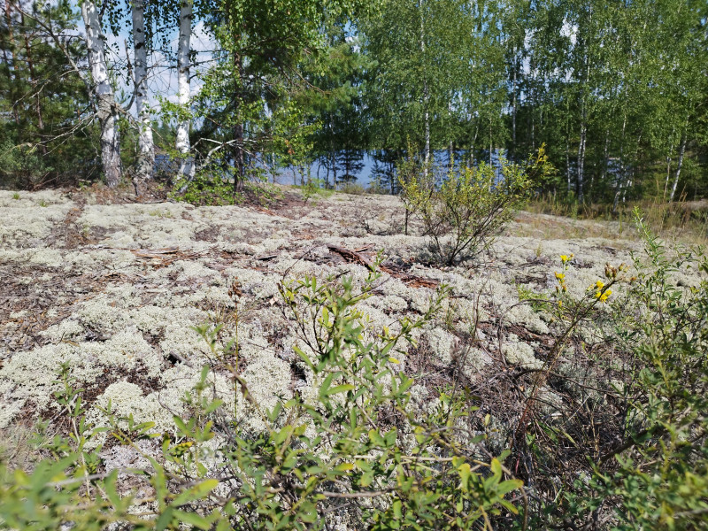озеро Малая Гарава, 2024, путешествия, дайвинг озеро Малая Гарава, 2024, путешествия, дайвинг