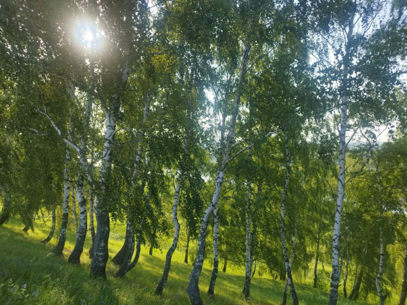 Ярополч-Залесский