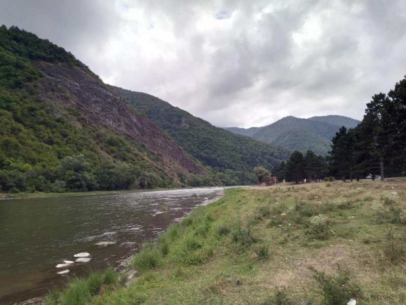 Кура Кура